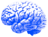 Personal R&D Icon